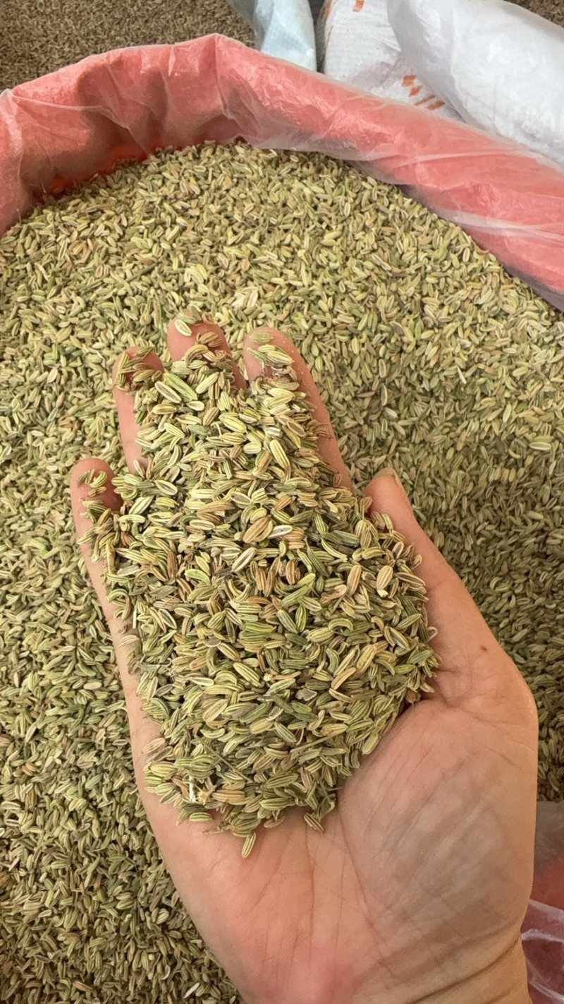 【包邮】甘肃新货小茴香炖肉卤肉炒菜火锅撒料调味料
