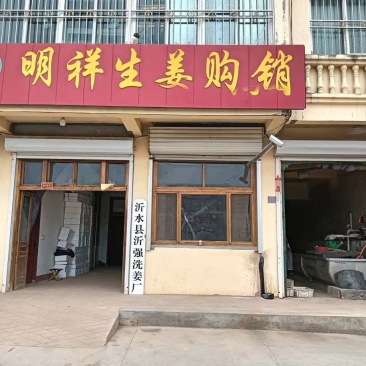 山东面姜大姜