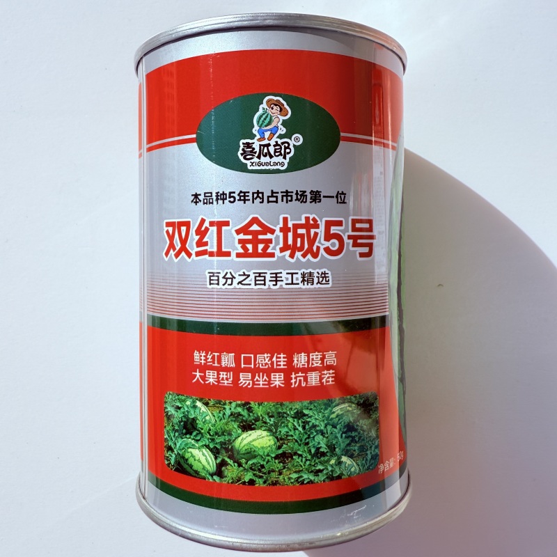 双红金城5号西瓜种子中熟皮薄大红瓤椭圆形大果西瓜种籽