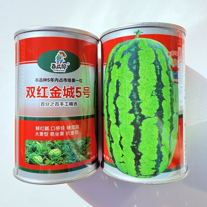 双红金城5号西瓜种子中熟皮薄大红瓤椭圆形大果西瓜种籽