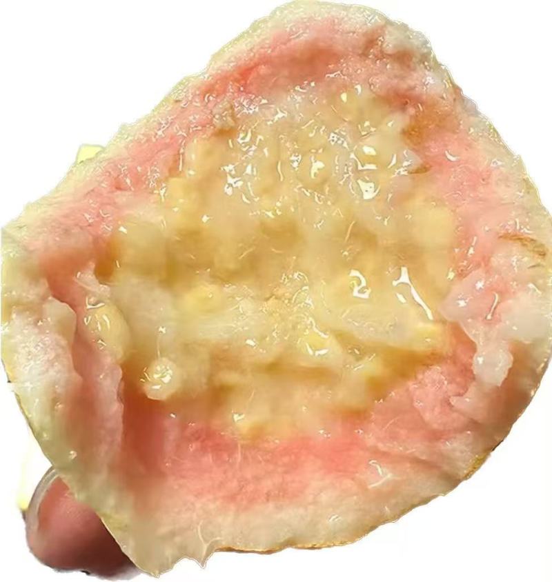 胭脂红番石榴，保质保量，量大价优，产地直发