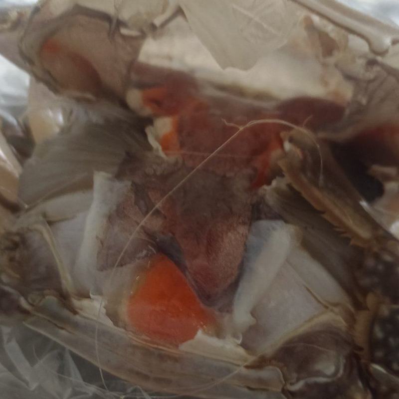 冷冻带膏咸渤海梭子蟹