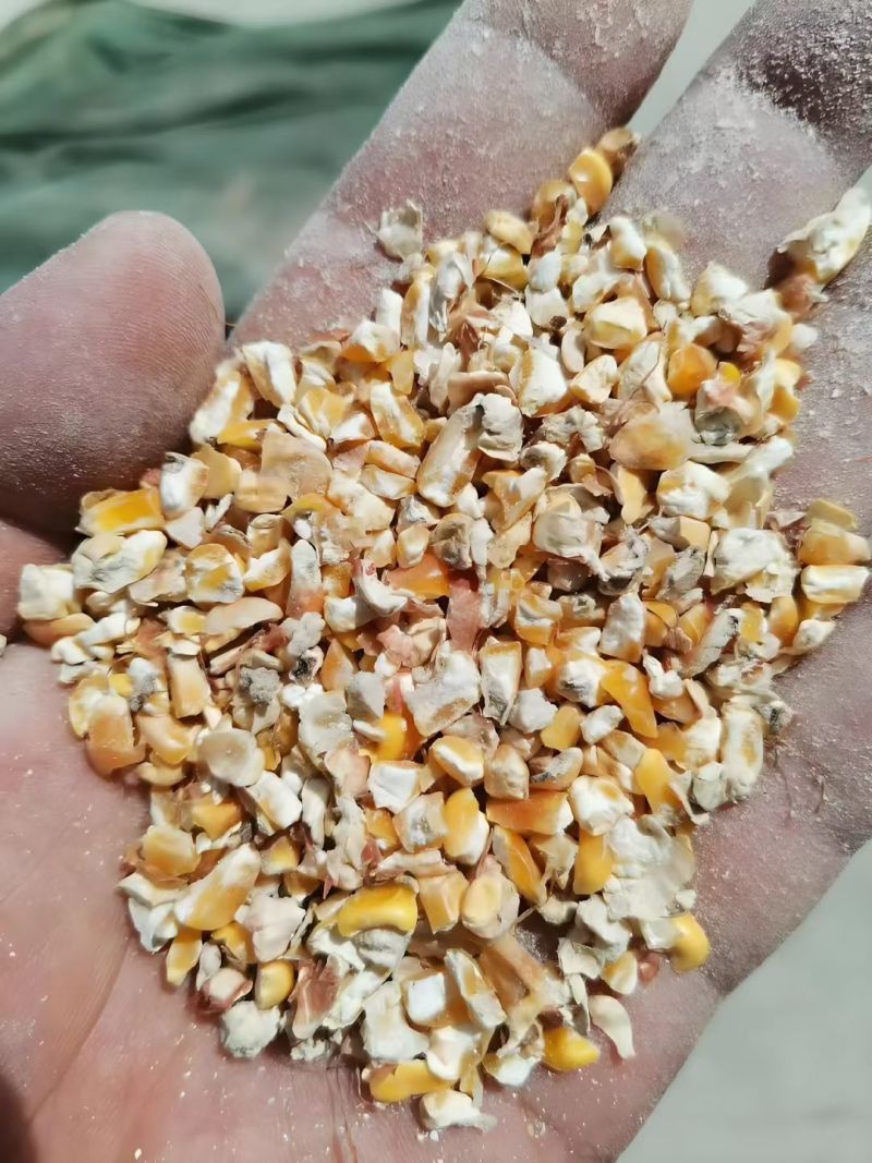 破碎玉米