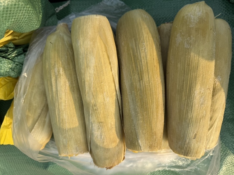 五彩玉米糯甜香带皮高温蒸熟冷冻锁鲜