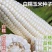 赫翔种业包邮白色甜加糯玉米种子大棒抗倒扶国审稳产