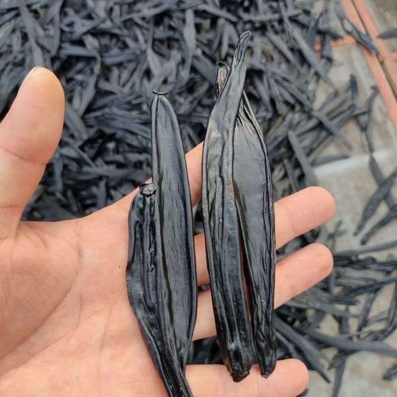 云南水蛭干～菲牛水蛭医药水蛭用途批发价格更优惠