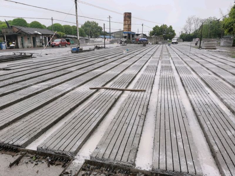 脆蜜金桔水泥柱，脆蜜金桔棚架水泥立柱、水泥桩、水泥杆