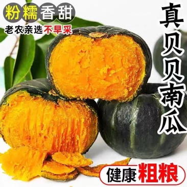 两广精品贝贝南瓜大量供应对接市场/商超/电商/社区团购