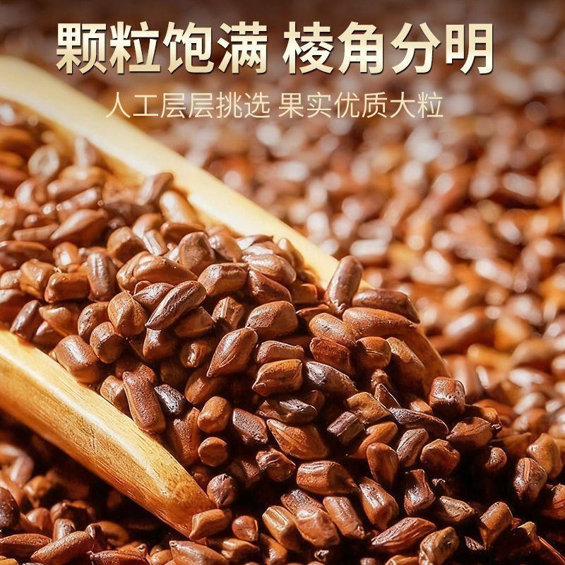 中药材野生决明子无硫草决明炒决明子茶泡水滋补儿童枕头