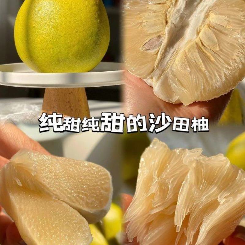 江永老树沙田柚