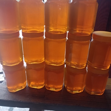 野生石洞蜂蜜，产地直供，品质保章，全国发货
