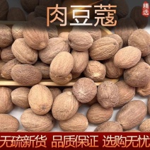 中药材正宗肉蔻肉豆蔻肉扣肉果香果玉果炖肉卤菜火锅香料调料
