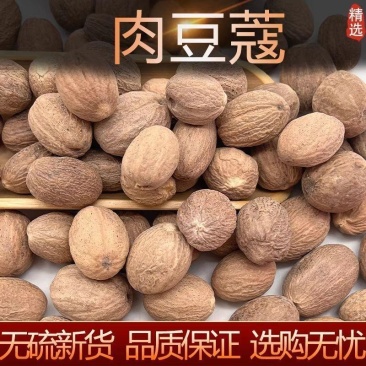 中药材正宗肉蔻肉豆蔻肉扣肉果香果玉果炖肉卤菜火锅香料调料