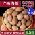 中药材正宗肉蔻肉豆蔻肉扣肉果香果玉果炖肉卤菜火锅香料调料