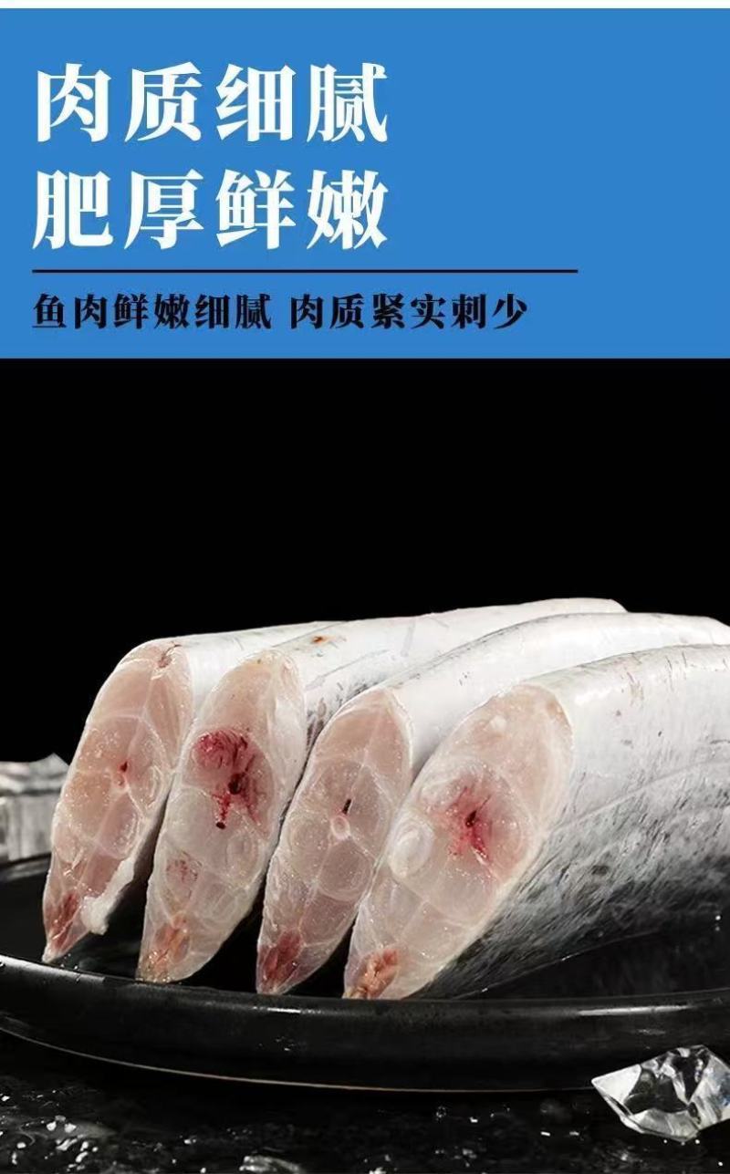包邮）正宗国产油带鱼中段冷冻小眼海鲜东海水产刀鱼净重无冰