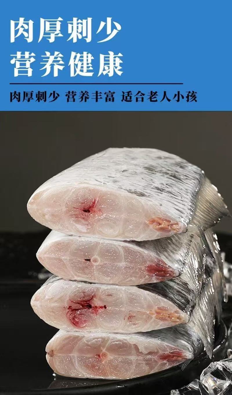 包邮）正宗国产油带鱼中段冷冻小眼海鲜东海水产刀鱼净重无冰