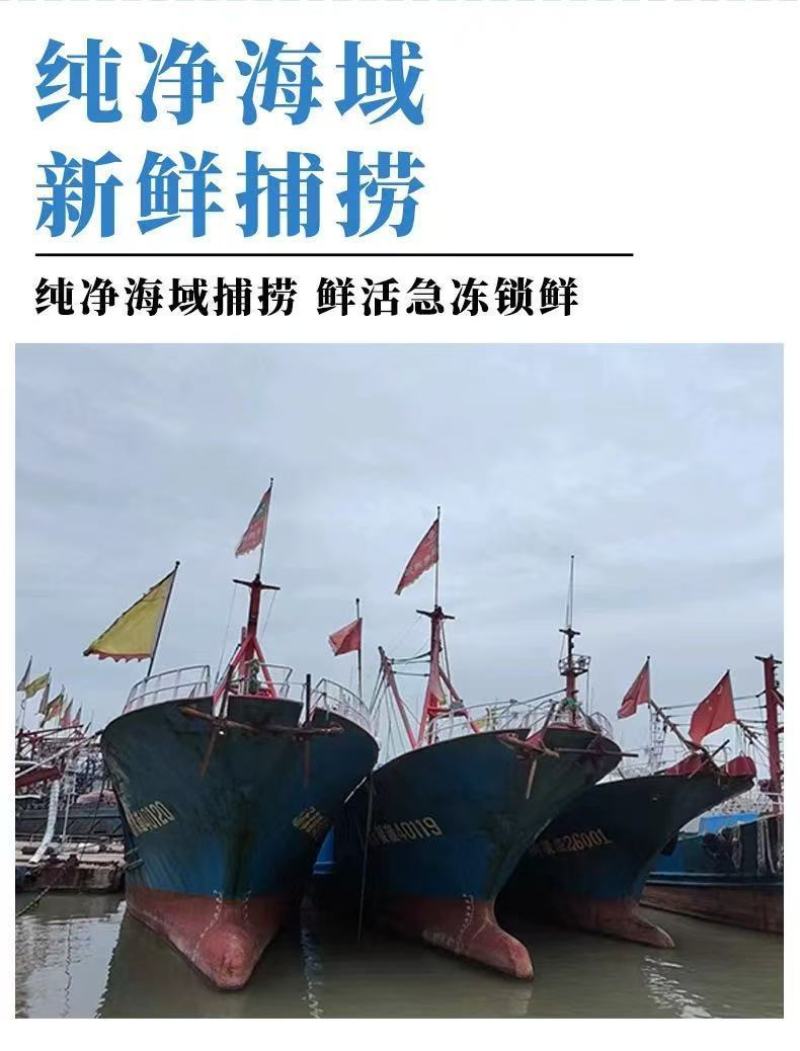 包邮）正宗国产油带鱼中段冷冻小眼海鲜东海水产刀鱼净重无冰