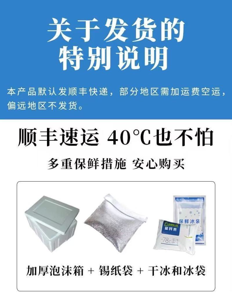 包邮）正宗国产油带鱼中段冷冻小眼海鲜东海水产刀鱼净重无冰