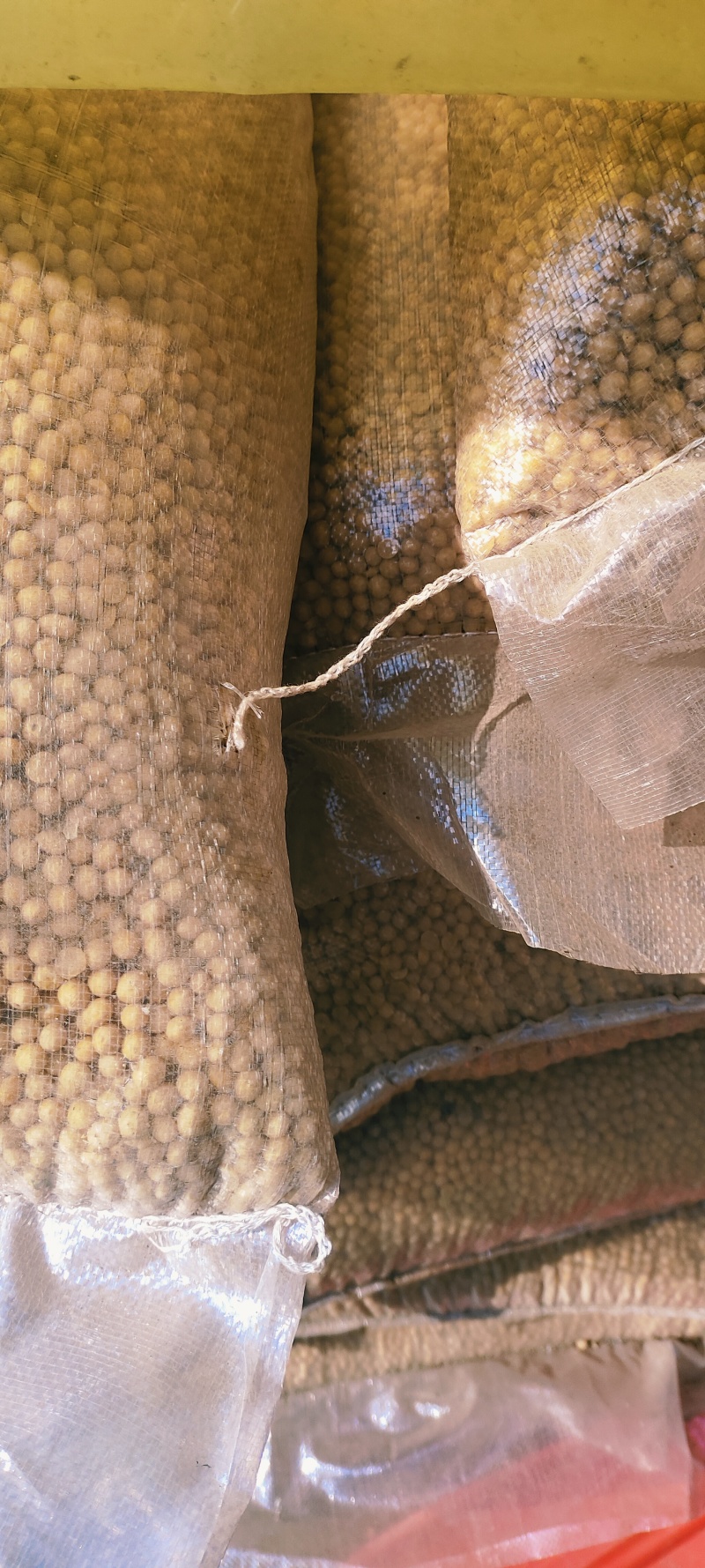 陕西黄豆大量有货，长年供应，……………………