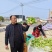 安徽儿菜基地直发，货源充足品质保障代发全国欢迎来电