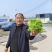 安徽儿菜基地直发，货源充足品质保障代发全国欢迎来电