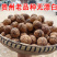 贵州高山老树核桃