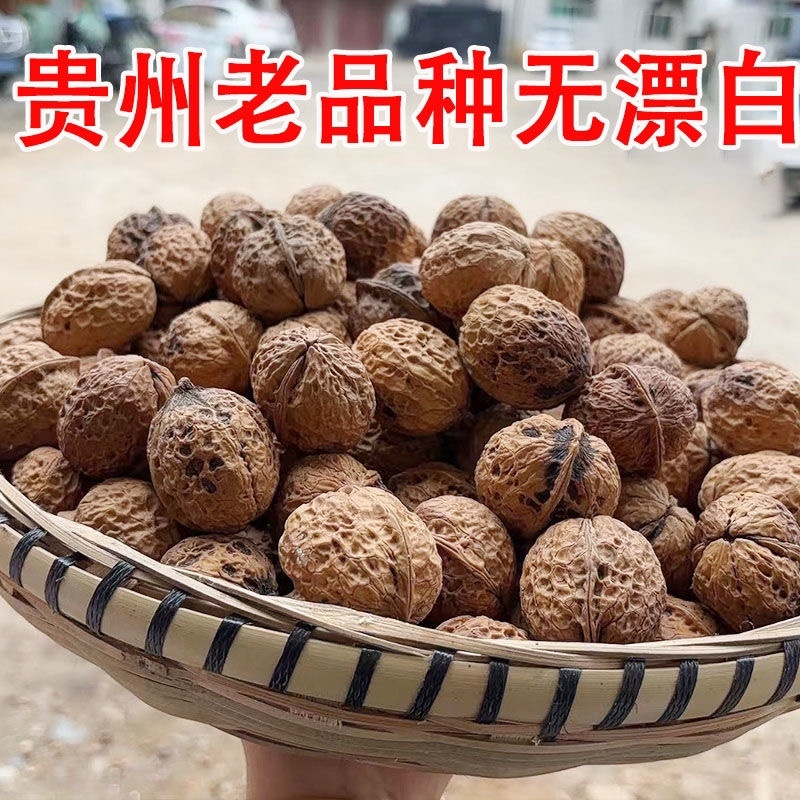 贵州高山老树核桃
