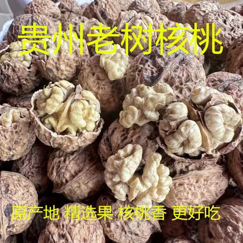 贵州高山老树核桃