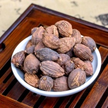 中药材草果