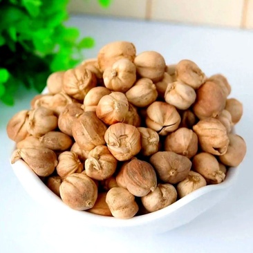 中药材草豆蔻