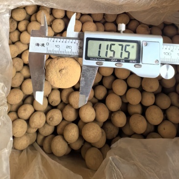 福建省莆田市特级桂圆干