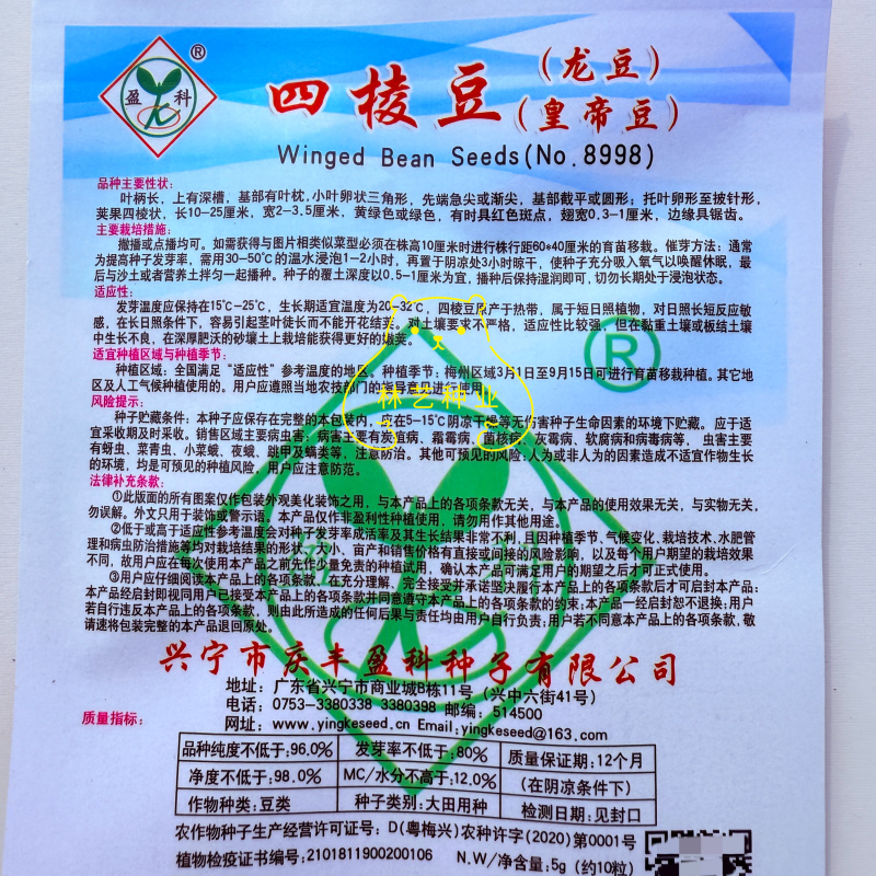 四棱豆种子皇帝豆四季播菜地庭院蔬菜豆角扁嫩荚春龙四角扬桃