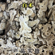 白术中药材一年片二年片蜂窝密集规格齐全无硫