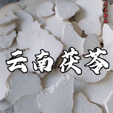 云南优质茯苓切片