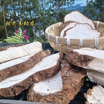 云南茯苓带皮切片干