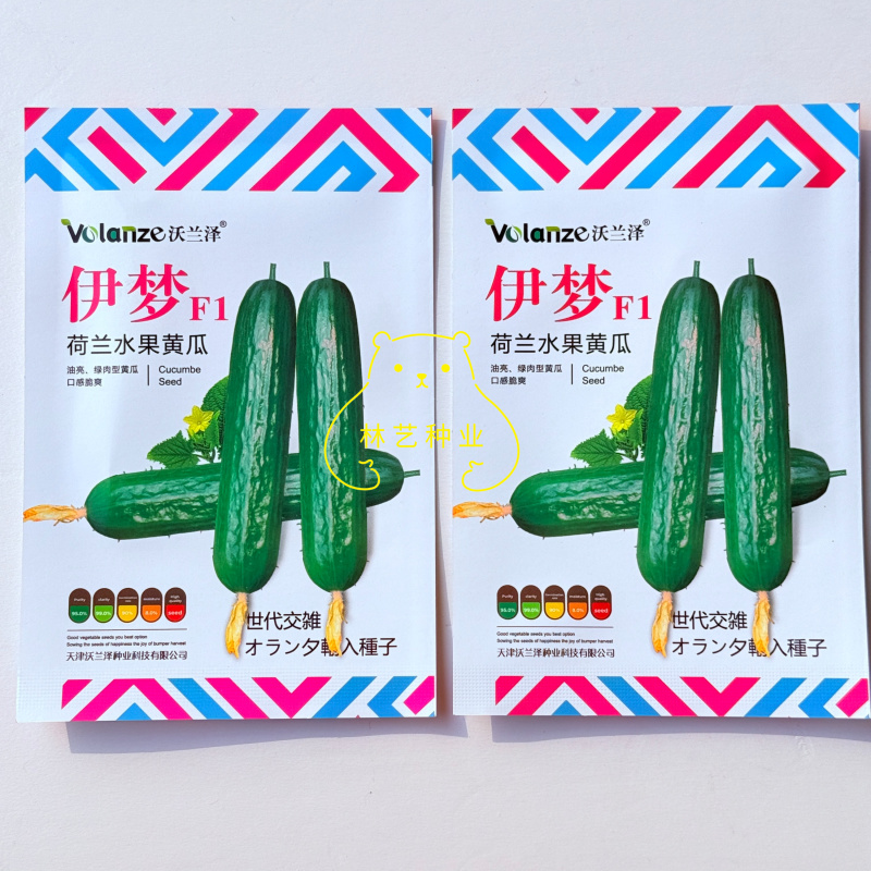 伊梦荷兰水果黄瓜种子抗病强产量高节节有瓜早熟瓜条顺直