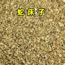 蛇床子中药材蛇米蛇珠蛇床仁蛇床果双肾子蛇床子粉止痒