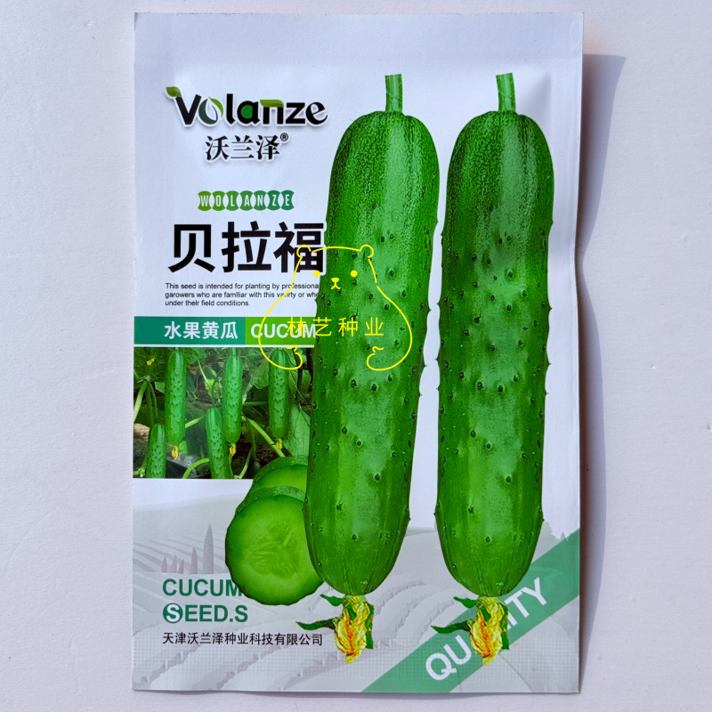 贝拉福黄瓜种子亮绿短棒型水果黄瓜种籽刺瘤少早熟春秋两季播