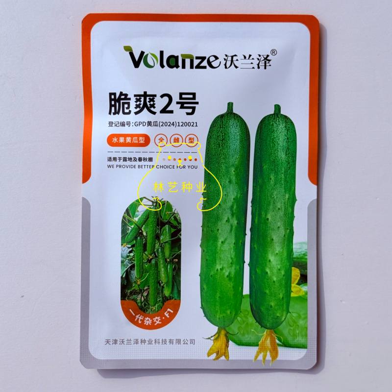 脆爽2号黄瓜种子全雌型薄皮水果黄瓜种籽刺瘤少早熟性好