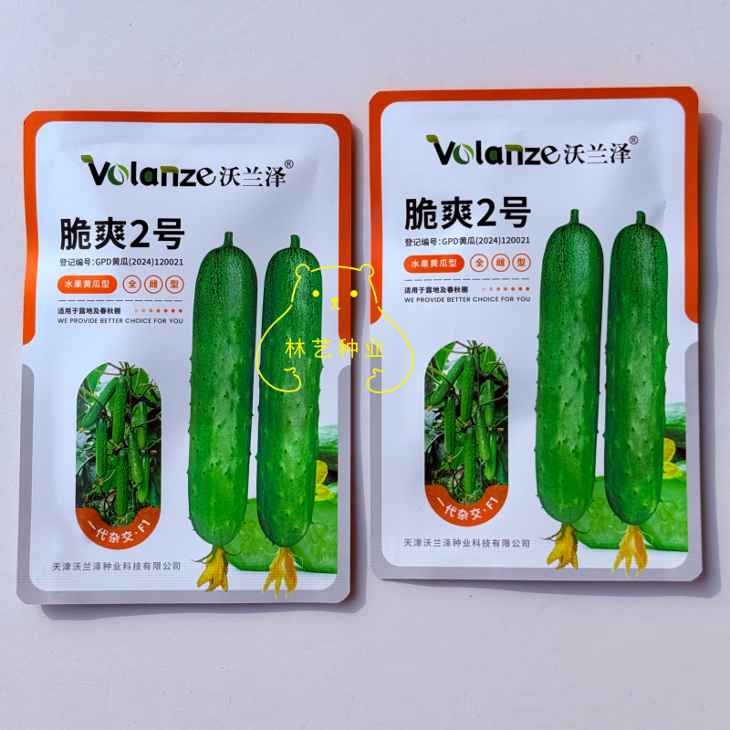 脆爽2号黄瓜种子全雌型薄皮水果黄瓜种籽刺瘤少早熟性好