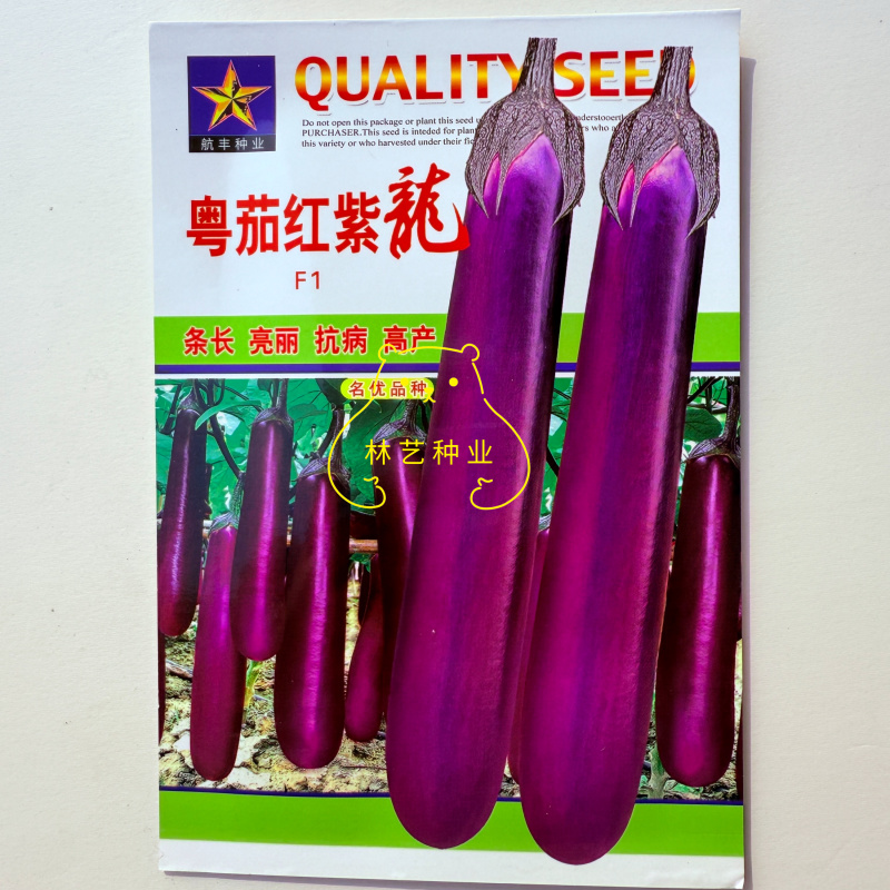 粤茄红紫龙早熟紫红茄子种子果型又粗又长整齐度高挂果多