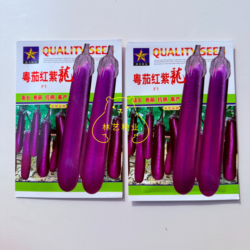 粤茄红紫龙早熟紫红茄子种子果型又粗又长整齐度高挂果多