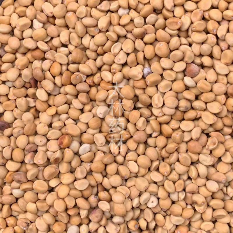 跌打豆【包邮】三斤起发货可批量可零售量大从优