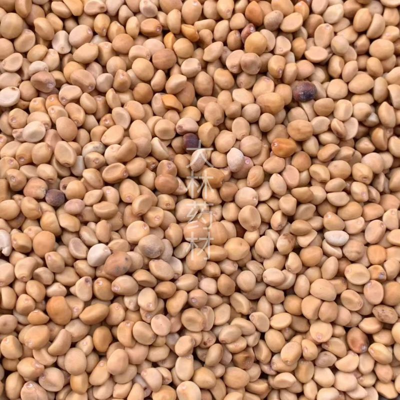 跌打豆【包邮】三斤起发货可批量可零售量大从优