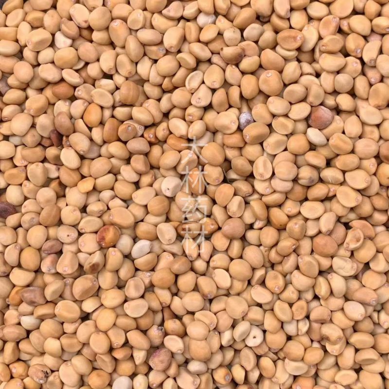 跌打豆【包邮】三斤起发货可批量可零售量大从优