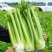 皇后大西芹，纯农家肥，无农药化肥，可检测！