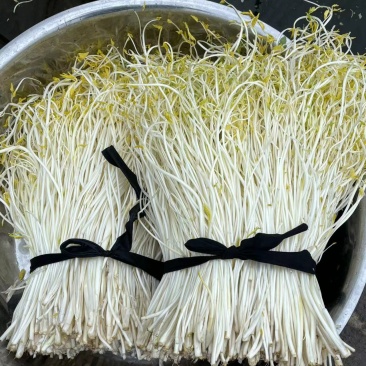 潥阳白芹