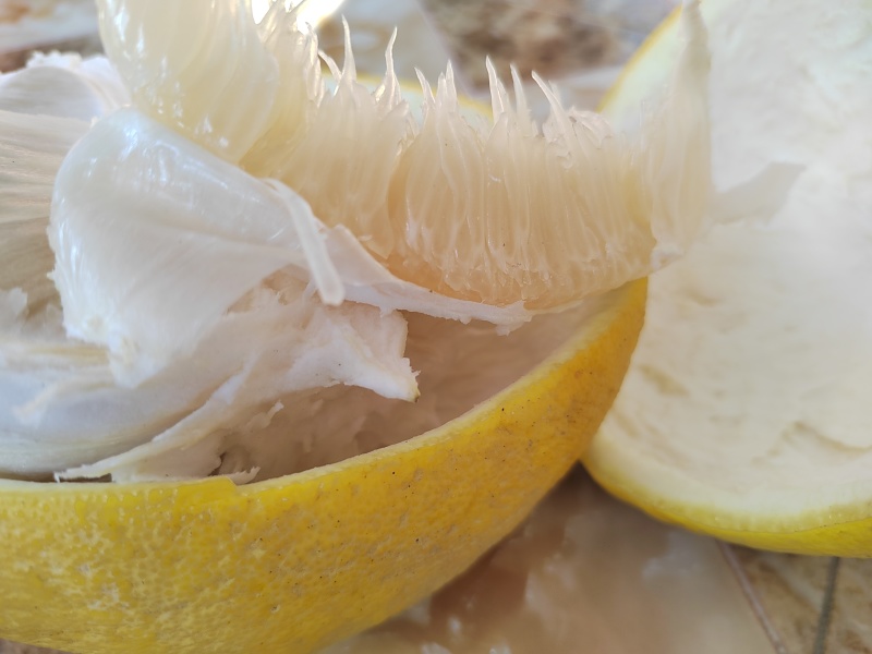 广东包邮高山老树梅州沙田柚爽口多汁皮薄肉厚