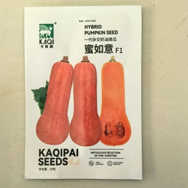 奶油南瓜种子甜糯蜜本南瓜早熟高产甜粉小南瓜基地大田种