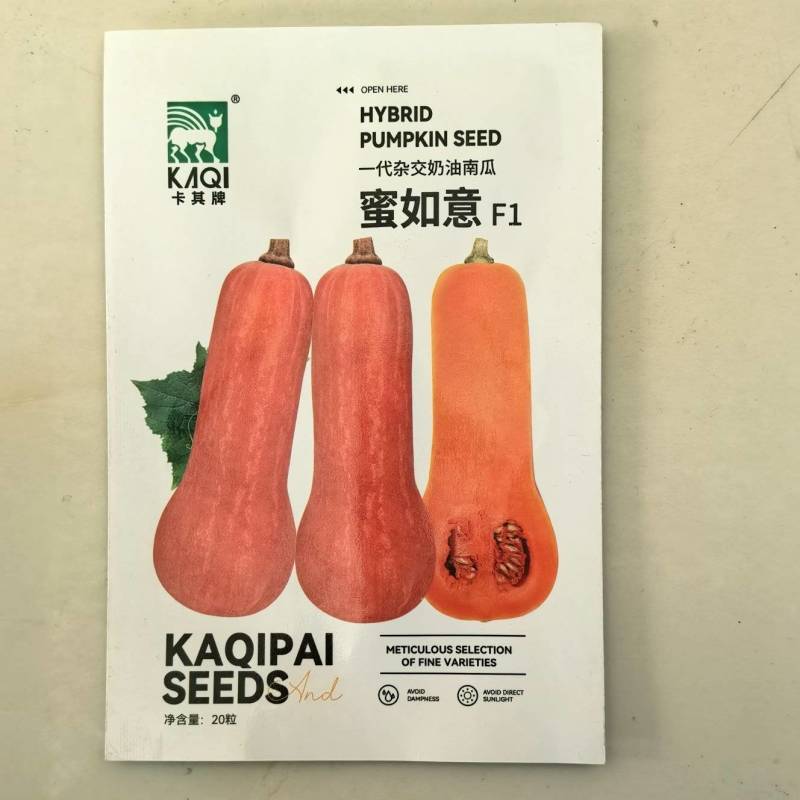 奶油南瓜种子甜糯蜜本南瓜早熟高产甜粉小南瓜基地大田种